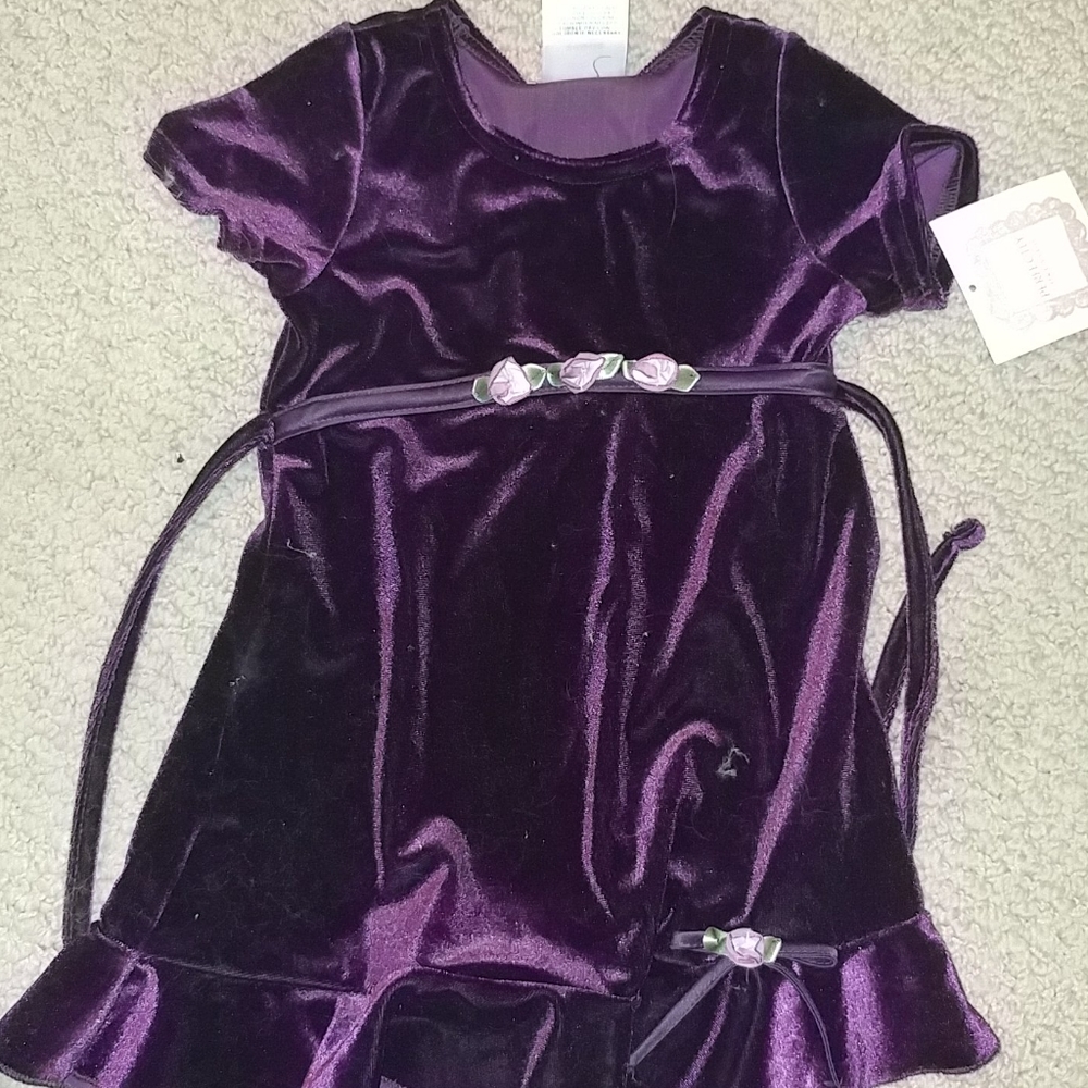 Infant Girls Purple Velvet Dress 24 Mo